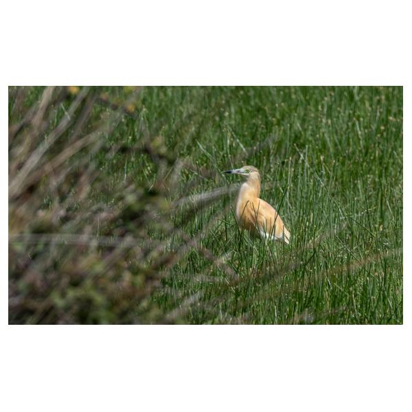 PHOTO84, CLUB, 84 , LUBERON